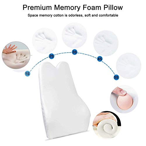Anyshock Lumbar Support Pillow Memory Foam Back Support Cushion Ergonomic Adjust Sitting Position Relief Pain of Back Designed for Car Office, 1 pcs (Beige)
