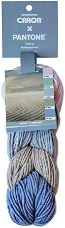Caron x Pantone Acrylic & Merino Wool Blend Yarn •• 5 Coordinated Colors in 1 Braid (Wistfully 291101-01038)