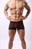 DomiGe Sheer Mesh Boxer Brief Underwear, Mens, Black