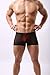 DomiGe Sheer Mesh Boxer Brief Underwear, Mens, Black