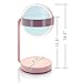 Tenergy Cordless LED Vanity Mirror Portable Multifunctional Lighted Makeup Mirror with Cosmetic Tray Battery Powered Desk Lamp