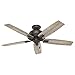 Hunter Donegan Indoor Ceiling Fan with LED Light and Pull Chain Control, 52