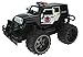 Jeep Wrangler Police Unit 1:14 Scale Battery Operated Remote Controlled 4WD 2.4 GHz Toy RC Truck w/ Remote Control,& Door Opening Action