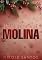 Livro Natal da Família Molina