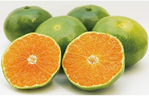 Amazon Ja静岡経済連 三ヶ日グリーンハウスみかん 5kg 秀 ｓ Ja静岡経済連 果物 通販