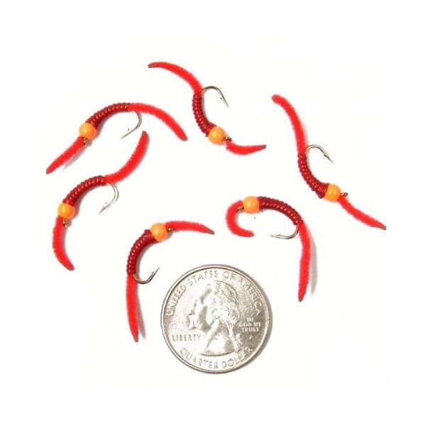 Trout-Nymph-Fly-San-Juan-Worm-Power-Bead-12-Dozen-Orange-Bead-Red-V-Rib-10-Set-of-6-Nymph-Wet-Flies