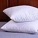 Set of 2, Down and Feather Throw Pillow Insert, 100% Cotton, 20x20 Inch