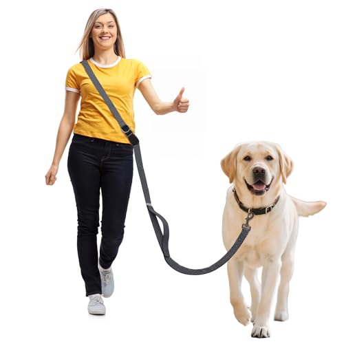 JC HOUSE Hands Free Leash