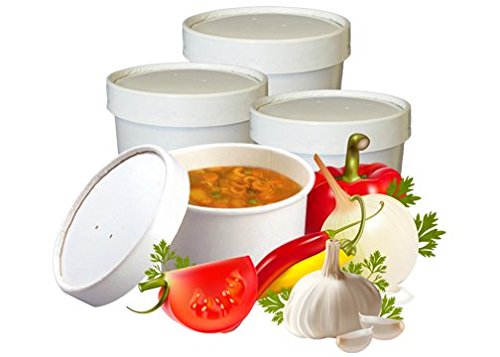 Eskay Soup and Ice Cream Containers, 16 oz. Double Walled Paper with ventilation lids, 25 Cups with Lids, White