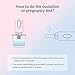 AFAC Ovulation Pregnancy Test Kit - 20 Ovulation Test Sticks, 3 Pregnancy Test Sticks, 1 Ovulation Calculator Calendar, 20 Urine Cups, Ovulation Predictor Kit, Fertility Tests