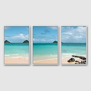 Framed Canvas Wall Art for Living Room, Bedroom Ocean Sea Beach Canvas Prints for Modern Home Decoration Ready to Hang - 16"x24"x3 Panels
