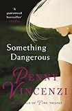 Front cover for the book Something Dangerous by Penny Vincenzi
