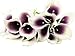 Winterworm Latex Real Touch Artificial Calla Lily Flower Bouquet Wedding Party Home Garden Restaurant Decoration Valentine Gifts - Bunch of 10 (Dark-Purple)