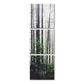 3 Panel Canvas Wall Art Birch Woods Pictures Home Wall Decorations for Bedroom Living Room Paintings Canvas Prints Framed - 12"x12"x3 Panels