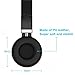 Red Ant R480 Headphones Noise Isolating Earphones Headsets with Microphone for Smartphones (Black)