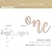 NANASUKO 1st Birthday Cake Topper - one - Double Sided Rose Gold Glitter - Premium Quality Made in USA