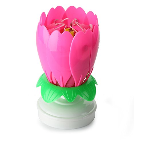 Amazing Birthday Candle Flower Cool Singing Musical Candles Spinning Centerpiece Sparklers