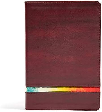 NIV Rainbow Study Bible, Maroon LeatherTouch, Indexed Imitation Leather – 1 Nov. 2016