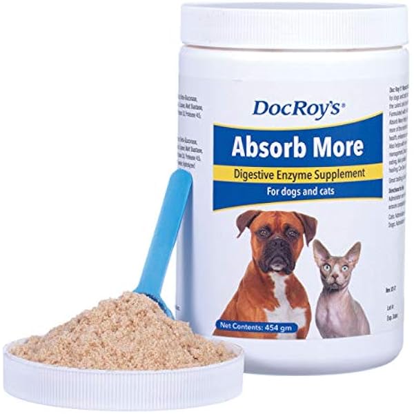 digestive enzyme supplements for dogs