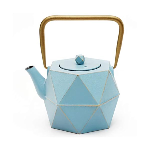Toptier Cast Iron Teapot, Stovetop Safe Japanese Cast Iron Tea Kettle