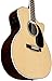 Martin Special Edition GPC-Aura GT Grand Performance Acoustic-Electric Guitar