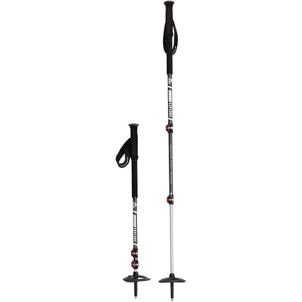 MSR DynaLock Explore 3-Section Alumunium Backcountry Poles : Sports u0026  Outdoors - Amazon.com