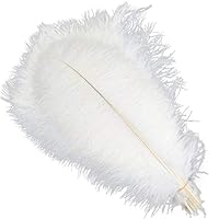 SHUO 10pcs/lot Elegant White Ostrich Feathers 12-14inch(30-35cm) for DIY Jewelry Craft Making Wedding Party Decoration