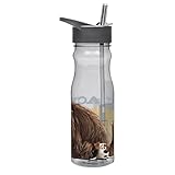 Zak Designs Secret Life Of Pets 25 oz. Water Bottle with Straw, Max & Duke