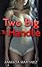 Two Big To Handle