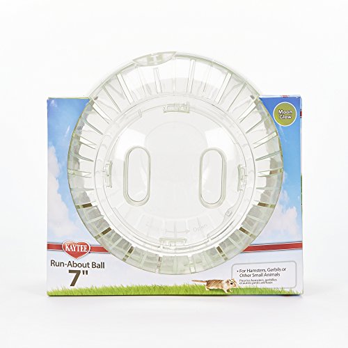 3 Kaytee+Run+About+Hamster+Exercise+Ball