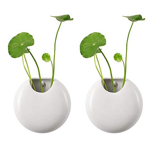 T4U Ceramic Wall Planter Pot, 4 Inch Round Wall Mounted Air Plant Cactus Herb Container for Gardening Home and Office Decoration Birthday Wedding Gift (Set of 2, White)