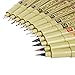 Sakura 12 Pcs Pigment Liner Pigma Micron Ink Fine Line Pen Set 003 005 01 02 03 04 05 08 Graphic 1 & Brush(Red,Blue,Black)
