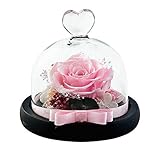 Dakotan Handmade Eternal Rose- Preserved Flower Rose,Forever Flower with Heart Shape Glass -Gift for Valentine's Day Mother's Day Christmas Anniversary Birthday Thanksgiving Girls（Pink）