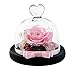 Dakotan Handmade Eternal Rose- Preserved Flower Rose,Forever Flower with Heart Shape Glass -Gift for Valentine's Day Mother's Day Christmas Anniversary Birthday Thanksgiving Girls（Pink）