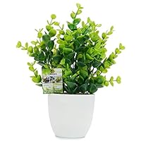 OFFIDIX Mini Artificial Eucalyptus Plants with Vase for Office Desk,Fake Plant with Plastic Pots for Home,Shower Room Decoration (Green)