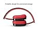 Antopos Bluetooth Kids Headphones, FM Hi-Fi Stereo Wireless Foldable Headset with Built-in Mic and Volume Control for Cell Phone/TV/PC (Red in Black)