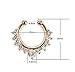 Achieer Nose Ring Septum Piercing Jewelry, Cubic Zircon Fake Septum Nose Ring for Women Non Piercing Clip On Body Piercing Jewelry (Silver)