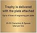 Decade Awards Cup Trophy, Gold and Silver - Metal Corporate Cup Award - Customize Now
