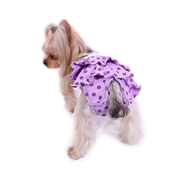 Diaper Dog Sanitary Pantie with Suspender - Image 3