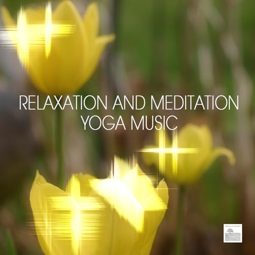 Concentration Meditation and Yoga Pilates en promo sur Amazon