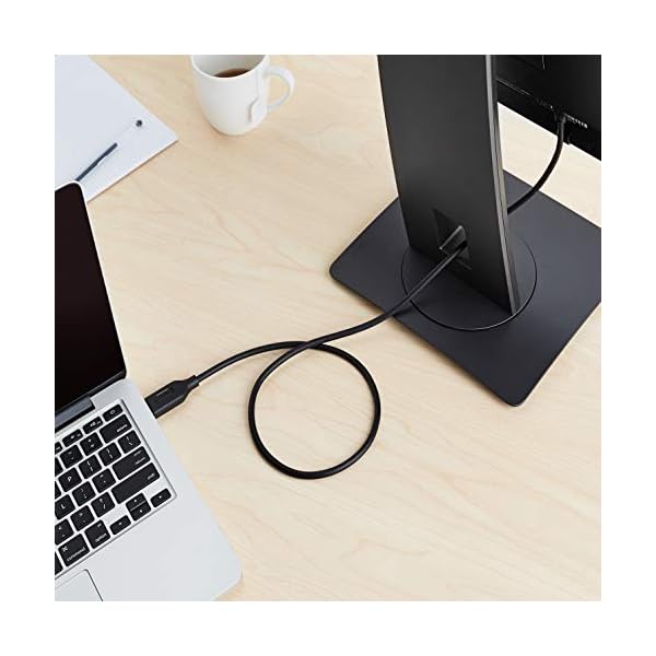 Amazon Basics UniDirectional DisplayPort to HDMI Display Cable 4K30Hz