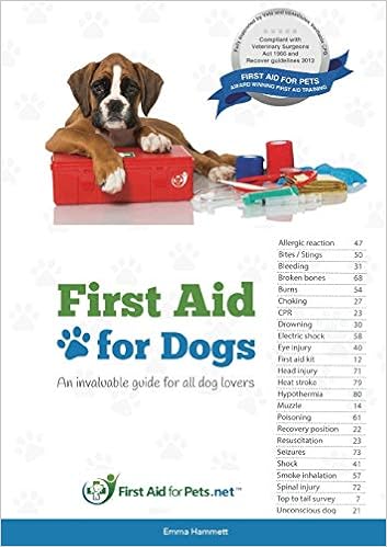 dog 1st aid kit