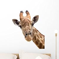 Wallmonkeys FOT-33846052-24 WM10555 Giraffe Closeup Peel and Stick Wall Decals (24 in H x 20 in W), Medium