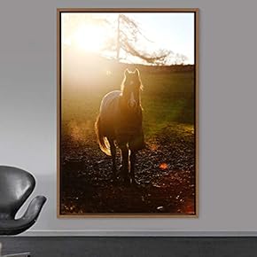 signwin Framed Canvas Wall Art Horse Animals Dramatic...