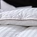Three Geese Cozy Goose Down Feather Fiber Comforter King Size,All-Season Quilted with Corner Tabs,750 Fill Power,43oz Fill Weight,Soft Egyptian Cotton/Plush Fiber Blended Cover…