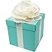 Robin Egg Aqua Blue Wedding Centerpiece Favor Box with Lid & Self Adhesive Satin Ribbons & Ivory Tissue Paper Flower Bow (1 Count) primary