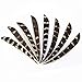 e5e10 36Pcs Natural Feather Archery Fletches Right, 5