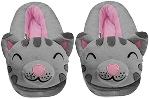 Big Bang Theory Soft Kitty Womens Slippers