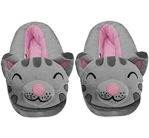 Big Bang Theory Soft Kitty Womens Slippers
