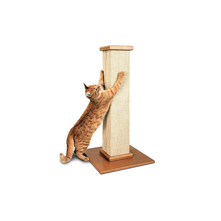 SmartCat Ultimate Scratching Post The Cat Site